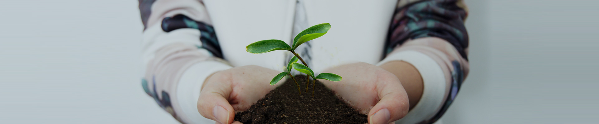宁波邬开运体育健康基金会